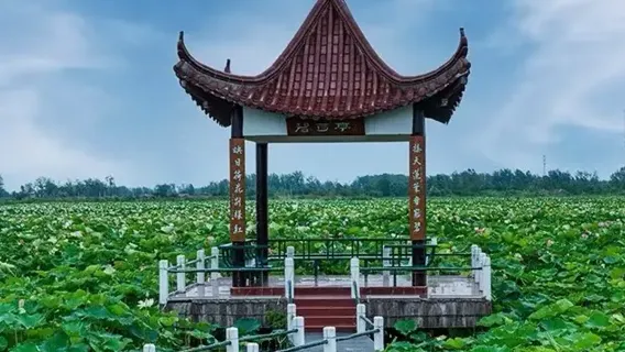 Huai'an Privattransfer Reiseleiter Übersetzung Begleitung Transfer Reisen Messe Geschäftsreise Krankenbegleitung