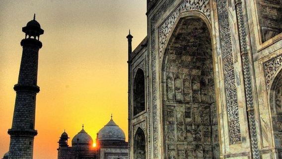 Taj Mahal und SOS-Schutzgebiet: Ein unvergesslicher Tag ab Delhi