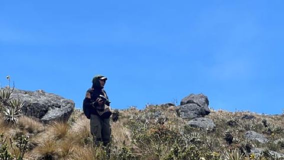 Dari Bogota: Jelajahi Dataran Tinggi Andes Kolombia