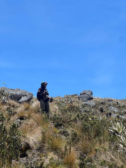 From Bogota: Explore Colombia's Andean Highlands