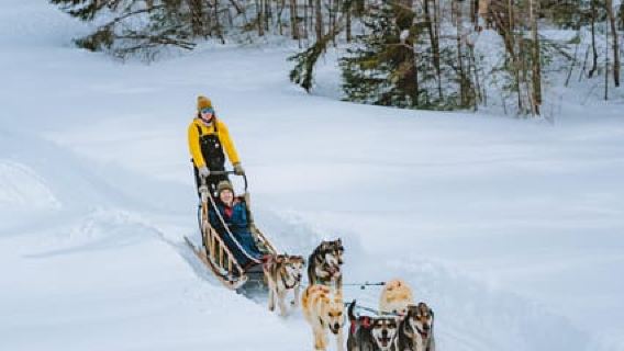 Dogsledding Upper Laurentians near Mont-Tremblant