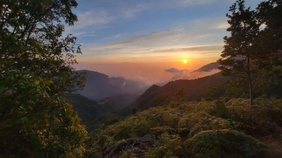 Vista Nieves: Guided Hike on Private Reserve with Transport