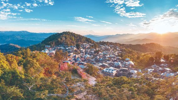 Jingmai Camellia Forest, Nuogan Ancient Village, Wengji Ancient Village, and Bee God Tree 1-day tour private charter