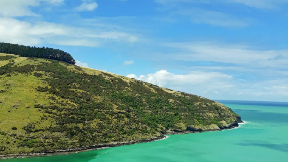 Akaroa Nature View 4WD Tour (Departing from Akaroa)
