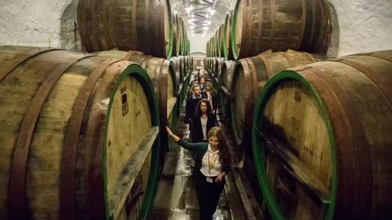 捷克比爾森：啤酒廠+啤酒博物館+城市漫步【品嚐純釀鮮啤】