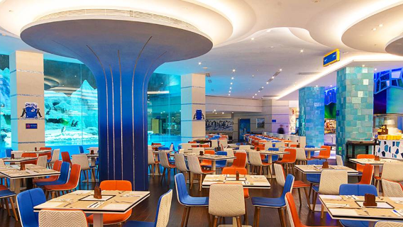 Dine with Penguins · Watch Penguins Eat - Buffet Breakfast/Lunch/Dinner at Emperor Penguin Restaurant in Zhuhai Chimelong Penguin Hotel
