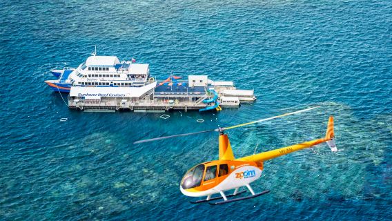 [Urgent orders accepted] Cairns Sunlover Reef Cruises 1-day tour to Great Barrier Reef #Official direct booking includes lunch