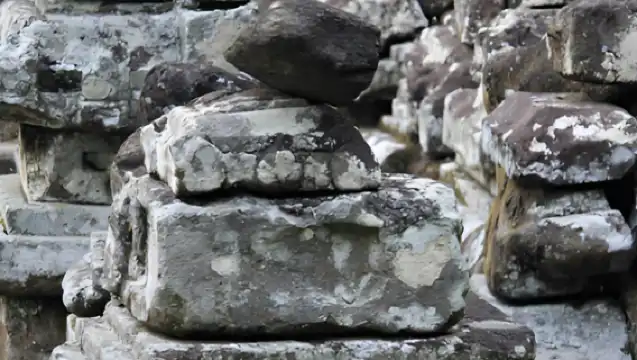 峇里島象窟＋聖猴森林＋阿雲寺＋峇里島博物館包車一日遊
