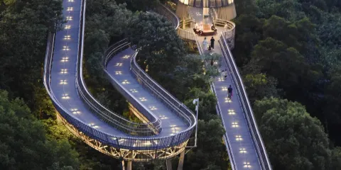 福州閩越水鎮+福道+西禪古寺+上下杭包車一日遊(可提供中英文服務)