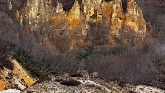 日本北海道登別+支笏湖+洞爺湖【中文私家包車/包車巨惠】