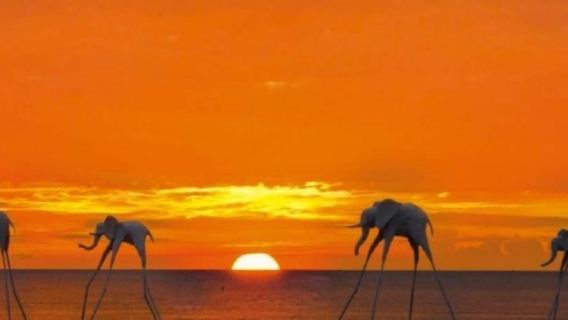 富國島海星沙灘+日落薩納託海灘+夜間釣魚一日遊【中文導遊】