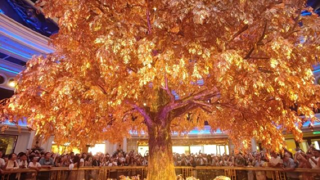 Lawatan sehari ke Macau termasuk Ruins of St. Paul, pertunjukan berlian, The Venetian dan Pokok Kekayaan dengan sewaan peribadi termasuk pengangkutan dari hotel