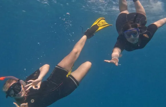 特內里費島：導賞浮潛體驗