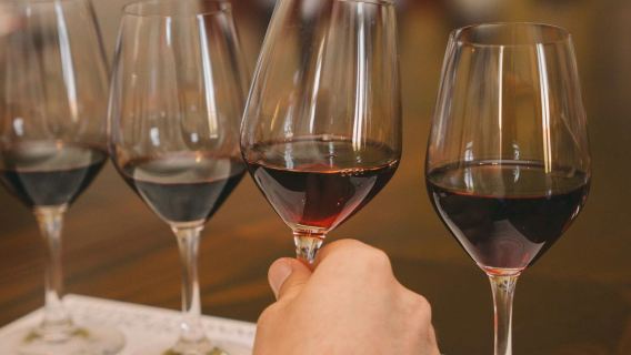 Taylor's Port Wine Cellar: Tawny Workshop + Tastings