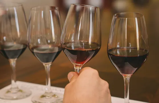 Taylor's酒窖：茶色波特酒工作坊 + 品酒體驗