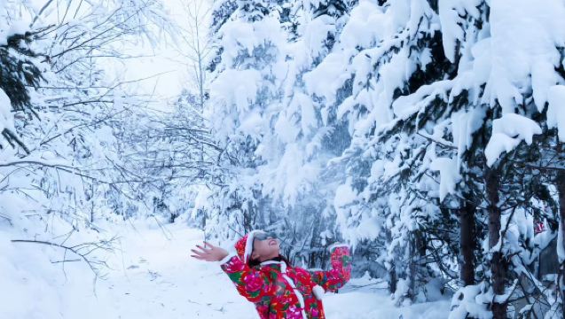 長白山雪嶺/老里克湖2-6人豪華商務團延吉送二道/二道送延吉