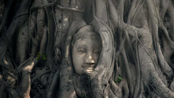 Featured tour starting at 5222 THB: Private Ayutthaya UNESCO Day Tour from Bangkok with Chao Phraya River Cruise