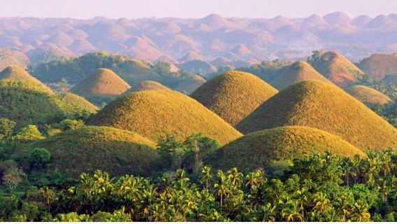 Bohol Countryside Tour