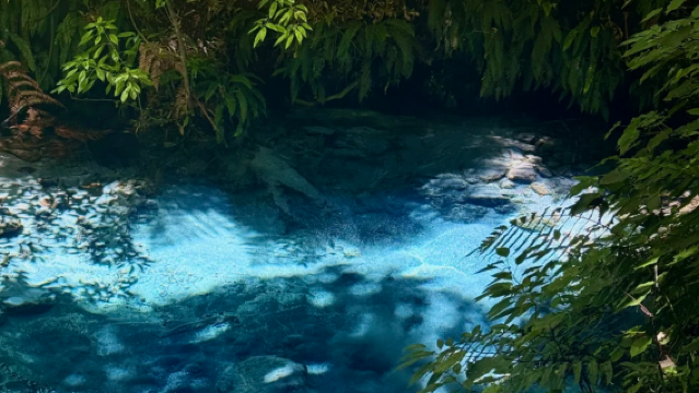 Lawatan klasik sehari di Pulau Utara New Zealand ke Blue Spring + Keajaiban Geoterma + Tasik Taupo + Huka Falls dari Auckland