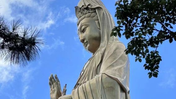 普陀山風景區一日遊【私家導遊服務】一單一團.輕鬆自由