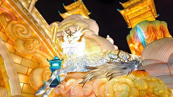 The 32nd Zigong International Dinosaur Lantern Festival (2026) Chengdu Private Charter Round-Trip