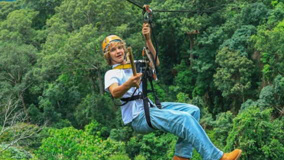 泰國清邁叢林飛躍【飯店接駁~含餐~可選:博岩/飛躍天際/叢林之光】