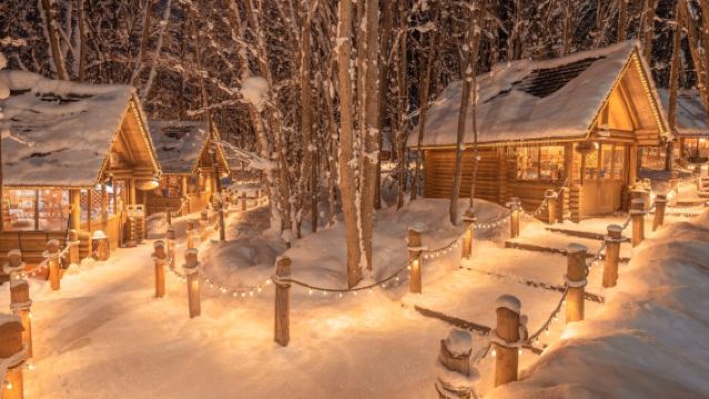 北海道ナイトビュー:旭川市旭山動物園&青い池&妖精のテラス ワンデーツアー 【中国語・英語・広東語ガイド】