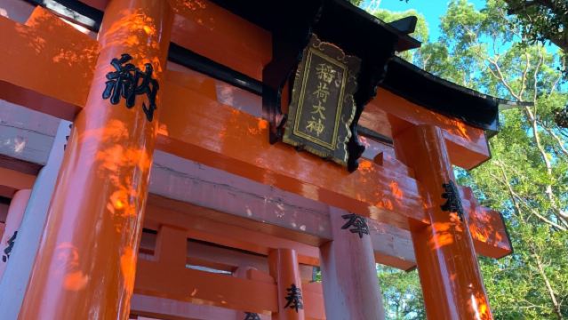 Kuil Fushimi Inari Taisha Kyoto + Kuil Byōdo-in Uji + Kuil Ujigami + Muzium Kisah Genji