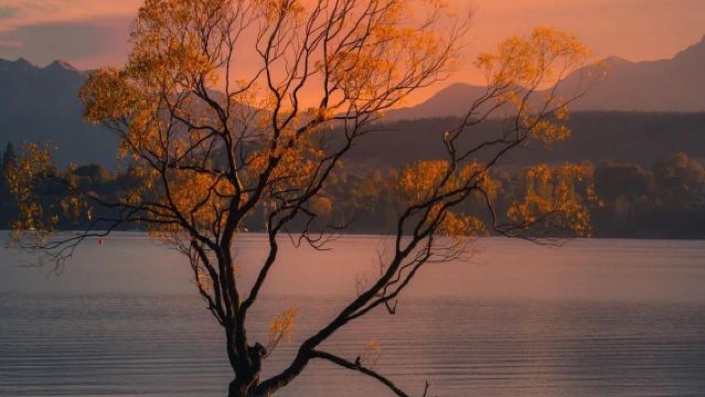 紐西蘭皇后鎮箭鎮+瓦納卡+水果鎮一日遊【中文小團2-9人】