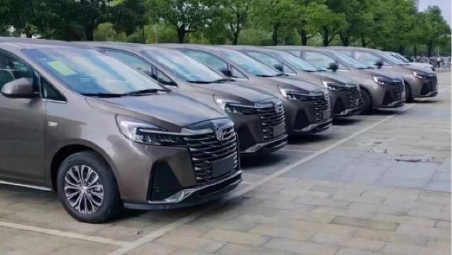 Chenzhou Dongjiang Lake + Gao Yiling 1-day tour (admission ticket + transportation) for 2-6 people, rideshare available with daily departures