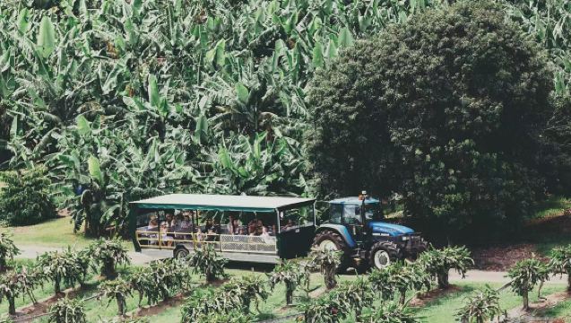Lawatan sehari Gold Coast ke Tropical Fruit World/Cape Byron Lighthouse | Dangerous Point