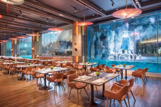 【買晚餐送早餐優惠-企鵝自助餐】珠海長隆企鵝酒店帝企鵝自助餐廳自助晚餐雙人/三人/親子/家庭餐券