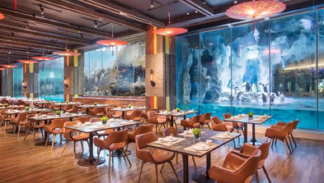 [Oferta especial: Cena buffet con desayuno incluido - Buffet de pingüinos] Cena buffet para dos/tres/padres e hijos/familia en el restaurante buffet Emperor Penguin del Hotel Chimelong Penguin en Zhuhai