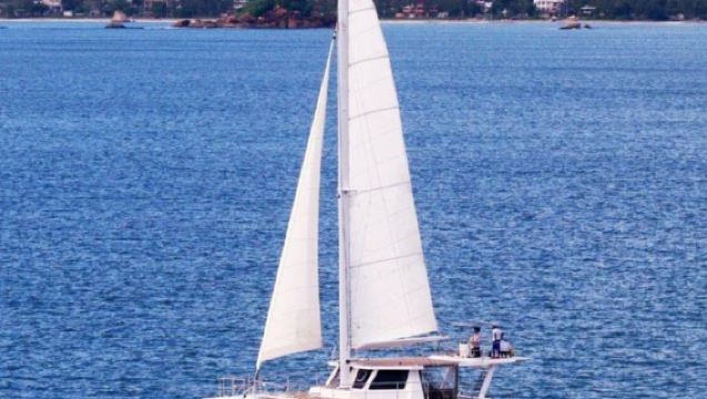 Overnight Cruise with Whales