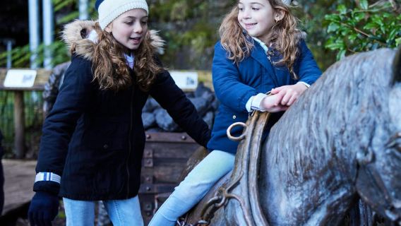 บลูเมาน์เทนส์: ทัวร์ครึ่งวันต้นทางจากซิดนีย์ + สวนสนุกสเซนิคเวิลด์