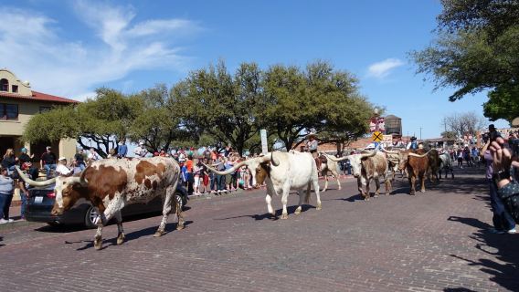 Amerika Syarikat Dallas Pergi-Balik + Fort Worth Cowboy Town + Rancangan Cowboy [Sewaan Peribadi Bahasa Cina Dengan Pengambilan Di Tempat]