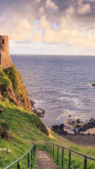 1-day tour to Giant's Causeway & The Dark Hedges & Belfast, Northern Ireland, English-speaking group
