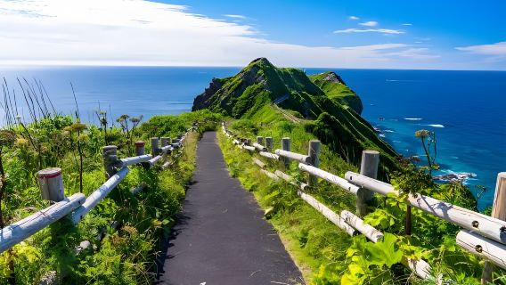 日本北海道小樽—積丹町—神威岬中文定制一日包車