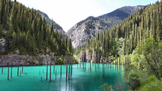 Hin- und Rückfahrt ab Almaty, Kasachstan: Tagesausflug zum Kolsai-See, Kaindy-See und zur Tscharyn-Schlucht