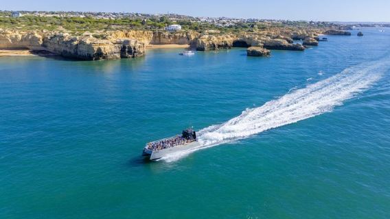 Dolphins & Cave Boat Cruise with Marine Biologist from Albufeira