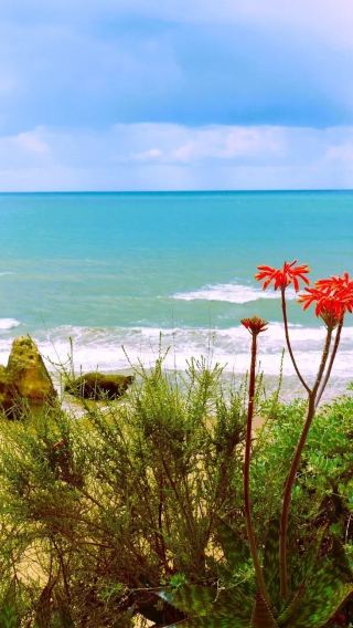 Custom trip to Faro in Portugal: Praia da Rocha + Devil's Eye + Silves Castle ※