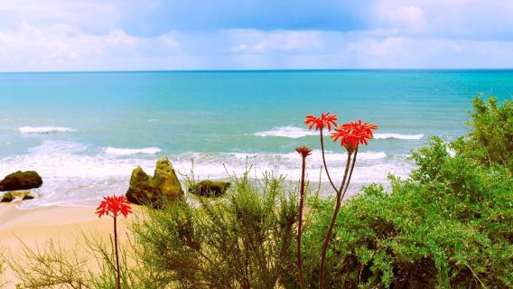 Custom trip to Faro in Portugal: Praia da Rocha + Devil's Eye + Silves Castle ※