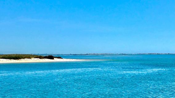Faro: Speed Boat Tour
