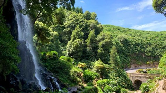 Azores: Private tour to All São Miguel island with lunch