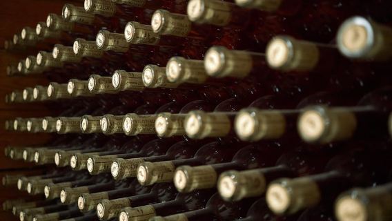 Modra: Private wine tasting guided by winery owner