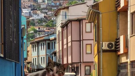 Turki Istanbul | Bursa bandar diraja Uthmaniyyah hijau lawatan sehari + pemandu pelancong berbahasa Cina bukan tiket