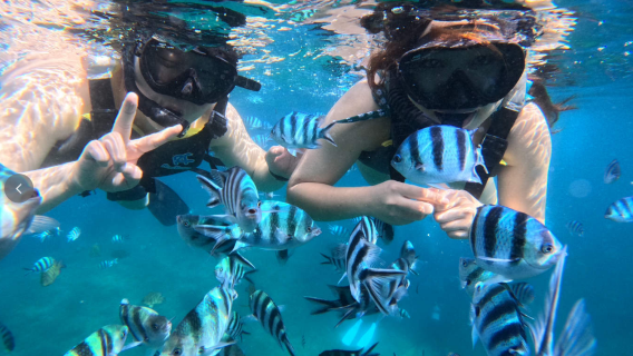 Okinawa Japan blue cave boat diving and snorkeling experience | complimentary photos/videos/feeding experience※
