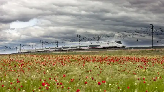 Eurail Spain Train Pass [Official Agent/Travel in Spain/No Ticketing Fee/No Ride Limit]