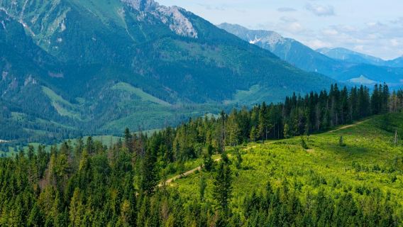Zdiar: Private Baumwipfelwanderung Bachledka ab Krakau