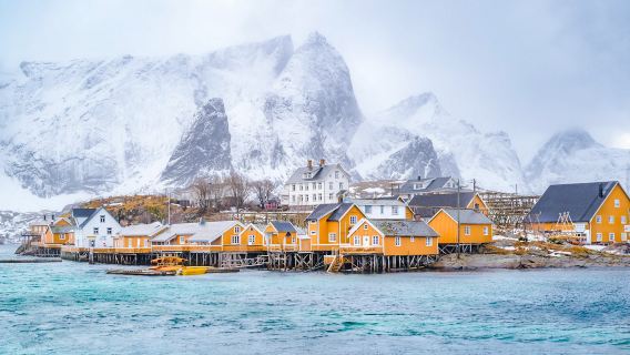 Lofoten West: Nusfjord + Hamnøy + Yellow House + Reine + Town A
